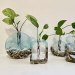 Resin Plant Propagation Vase